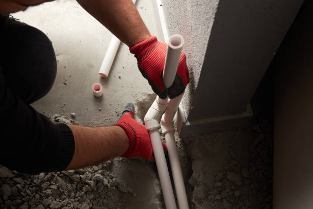 Best Clogged Drain Plumber  in Avon, MN