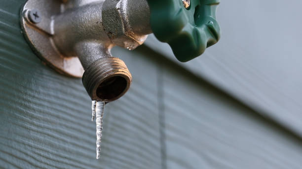 Best Best Plumbers Near Me  in Avon, MN